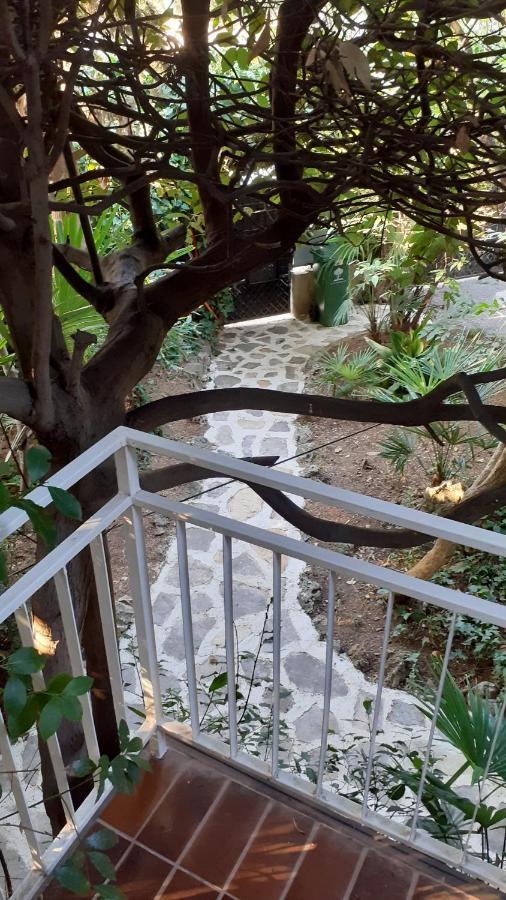 Villa Valkane Pet Friendly 150M From The Stunning Valkane Beach, City Indoor Pools-Fitness And City Mall PUY 외부 사진